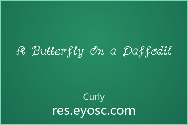 「A Butterfly On a Daffodil」——字体不只是字形，是设计语言