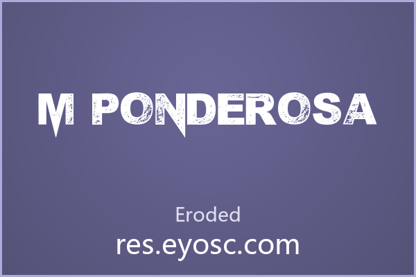 M Ponderosa 评测：潮流海报的高调利器
