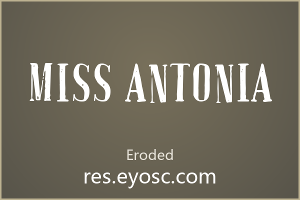 废铁牌上腐蚀出 Miss Antonia