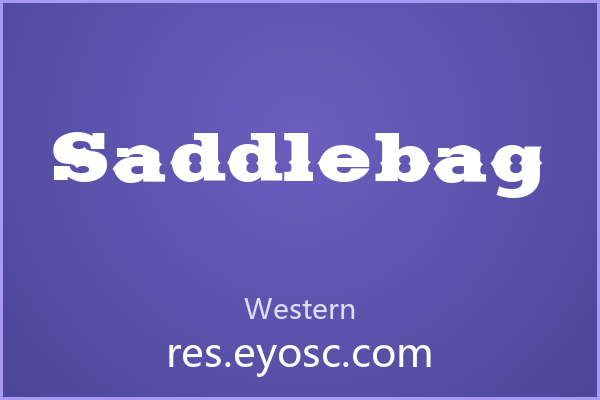 Saddlebag 西部粗犷衬线字体值得收藏吗？