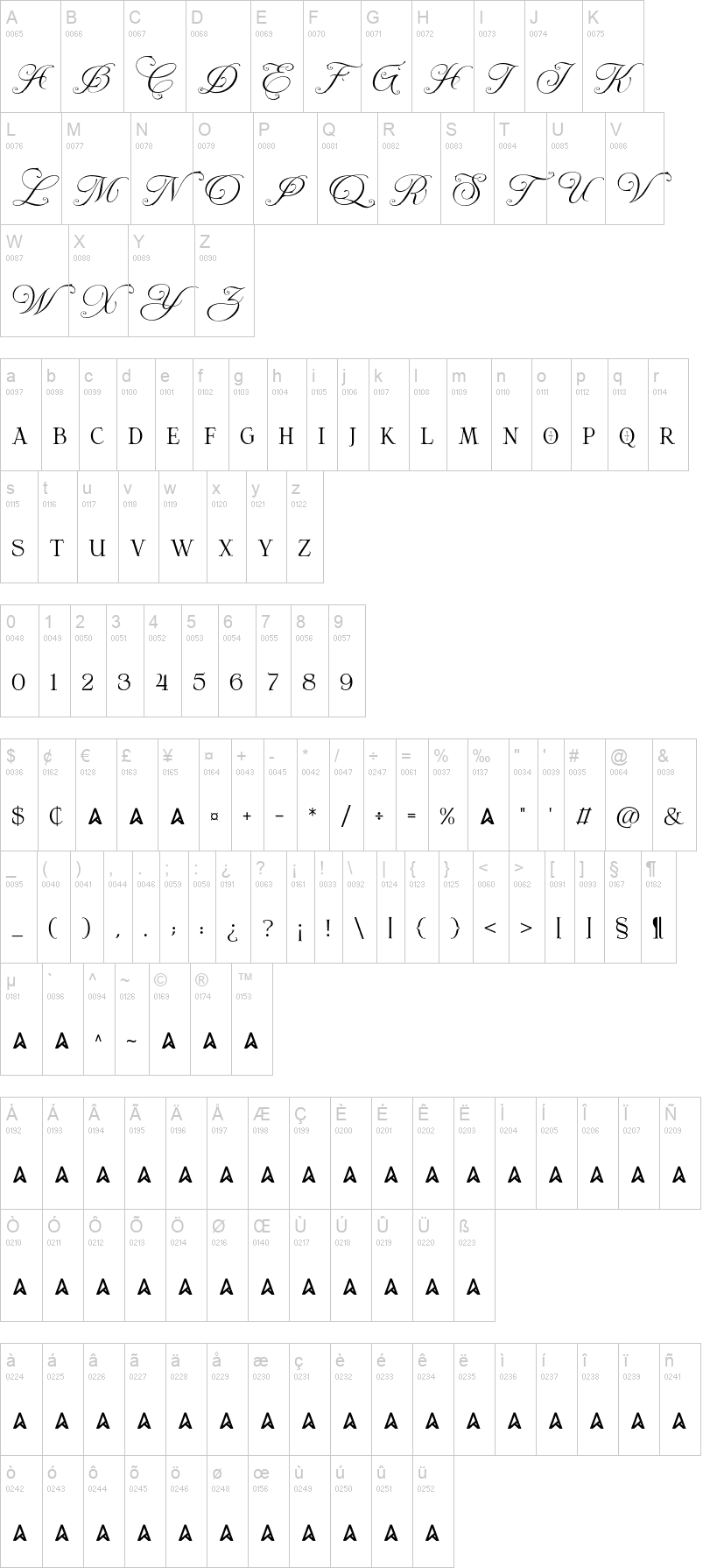 Young Morin 字体字形表