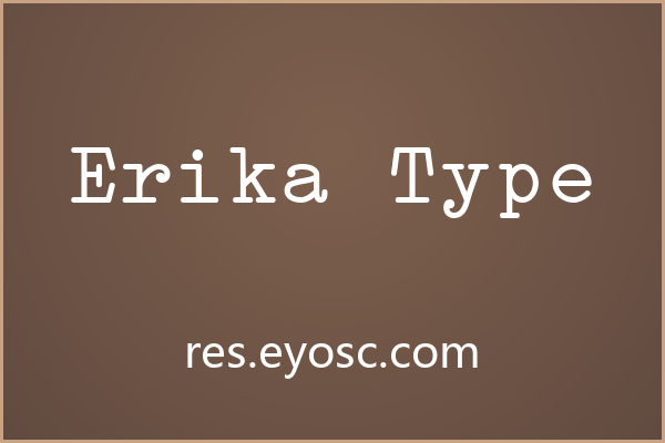 品牌字标总缺质感？可能是 Erika Type