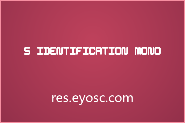 科技感十足的等宽字体 5 Identification Mono