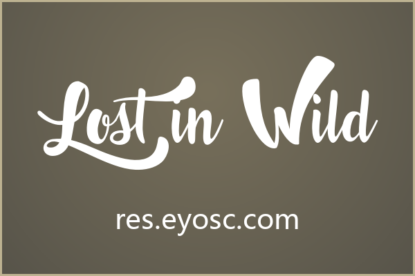 拿Lost in Wild做签名水印，大字号才对味