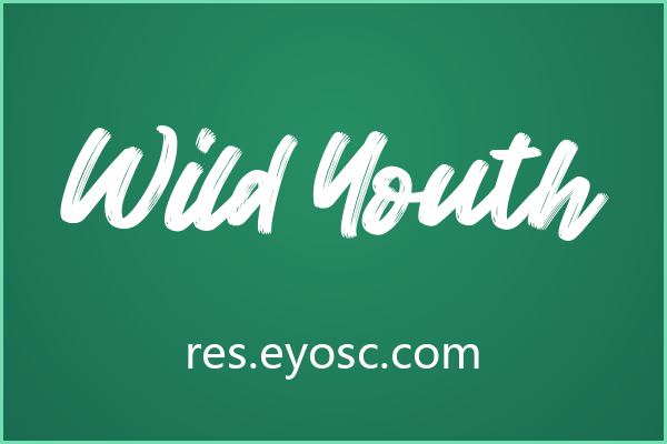狂野笔触下的温柔：Wild Youth字体解析