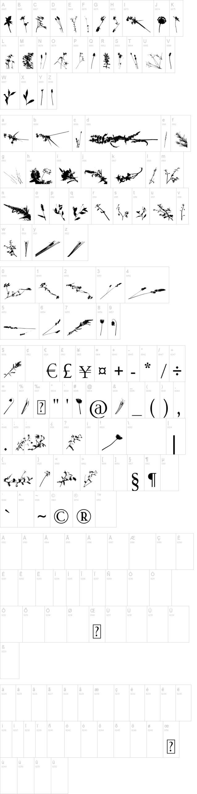 Floral Flush 字体字形表