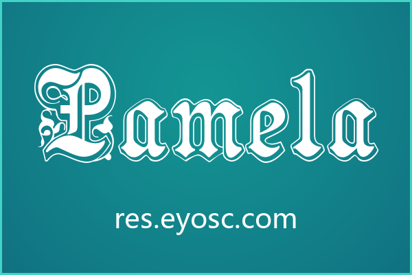 做签名水印的人该看看 Pamela
