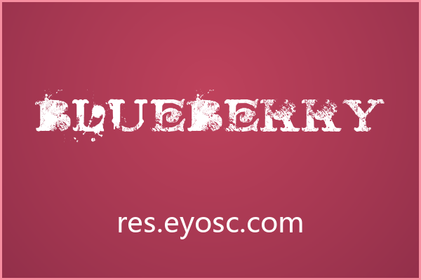废墟上的婚礼誓言，Blueberry 有点美