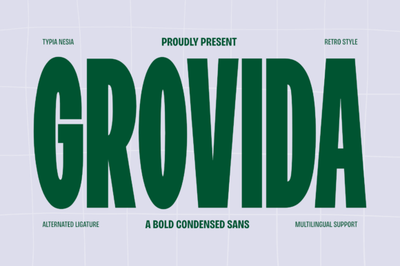 用 Grovida 撑起网页大标题，复古紧凑感拉满
