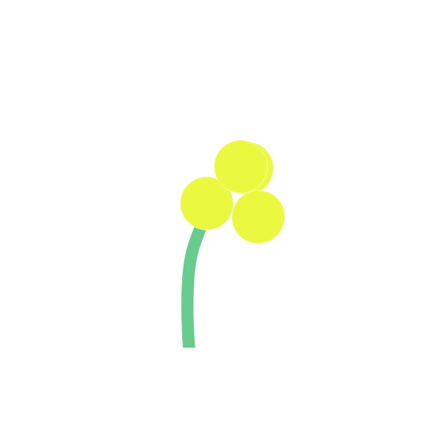 小黄花绽放，App开屏不再冰冷