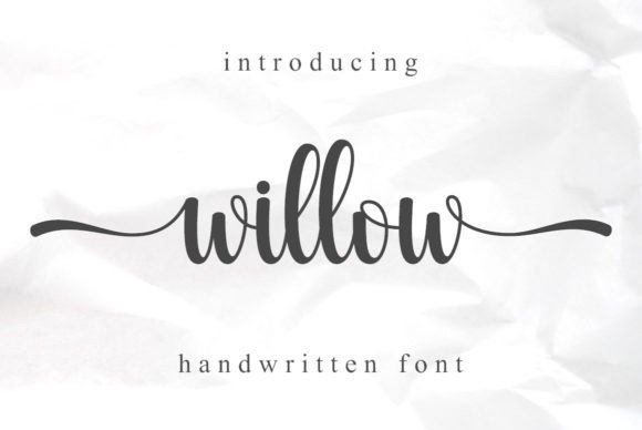 流畅连笔与复古韵味交织的 Willow 手写体赋能品牌VI