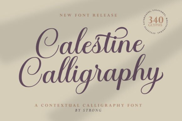 用 Calestine Calligraphy 提案，一眼就抓住甲方