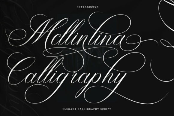 Melintina Calligraphy 的典雅曲线与实用特性解析