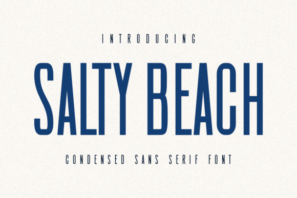 做复古排版的人该看看 Salty Beach