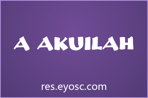 A Akuilah 评测 | 杂志排版实力及适合项目