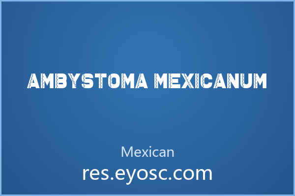 Ambystoma Mexicanum，原始肌理与几何的碰撞