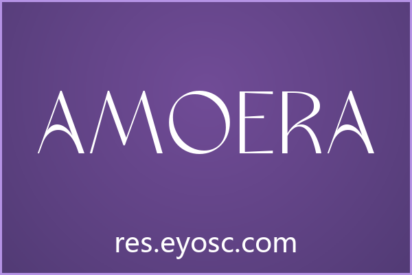 品牌VI找不到合适无衬线？「Amoera」或许能破局