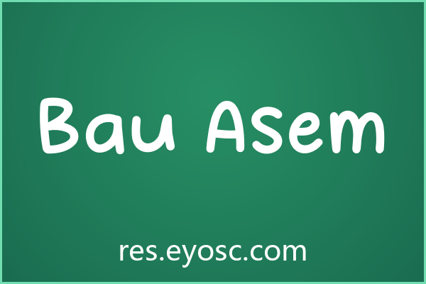 设计师网页标题清单 | 漫画风 Bau Asem 值得收吗