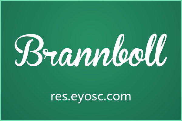 Brannboll 的手写花体如何为品牌注入活力