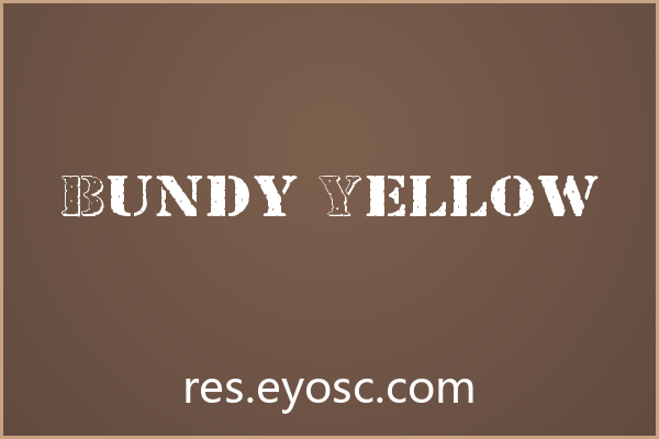 海报标题清单 | Bundy Yellow 值得收藏吗