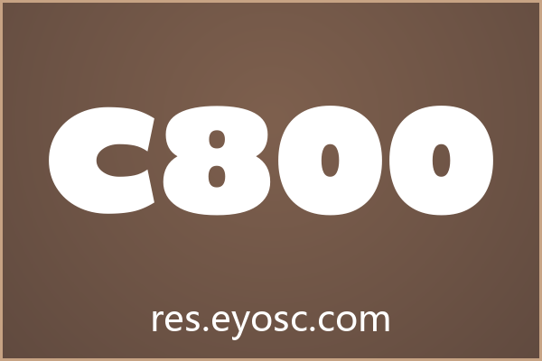 「C800」：克制又带点复古味的Sans serif