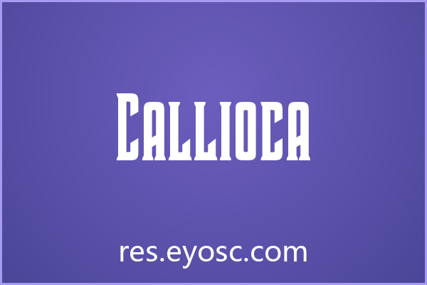 Callioca 评测 | 包装印刷的实力与适配项目