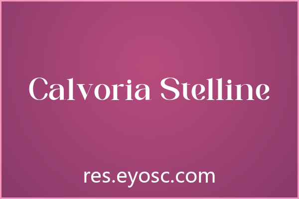 包装印刷缺好衬线？「Calvoria Stelline」能解围