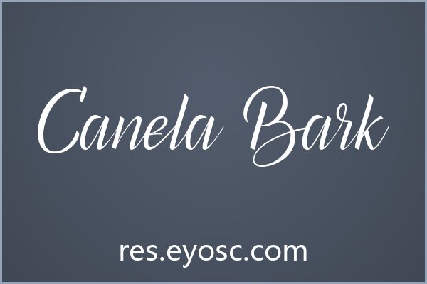 社交媒体玩腻了？聊聊Canela Bark的书法味道
