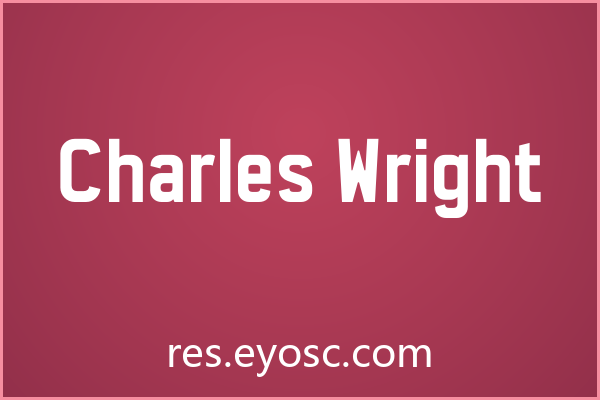 「Charles Wright」：兼具力量与圆润的App界面Bold无衬线