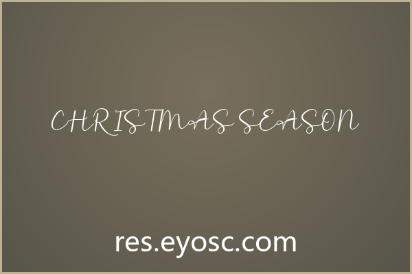 「Christmas Season」为何适合婚礼纸品