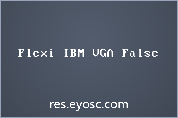 Flexi IBM VGA False——海报的设计语言