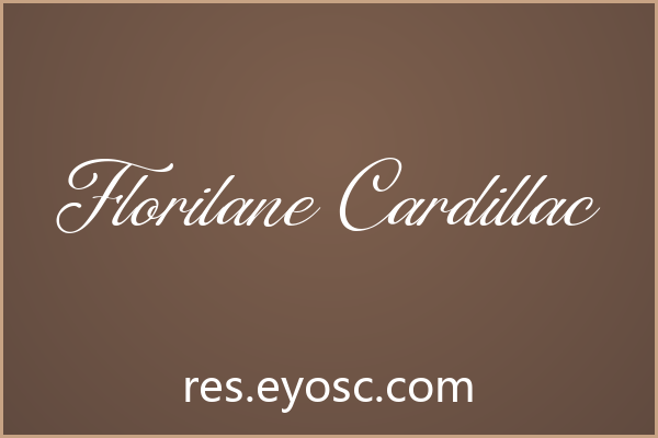 换个口味？聊聊Florilane Cardillac的设计细节