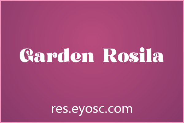 为什么「Garden Rosila」在Serif类字体里值得关注