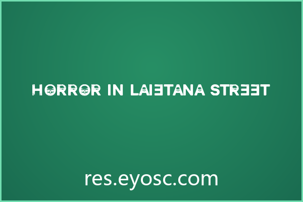 Horror in Laietana Street 评测：恐怖App界面实力
