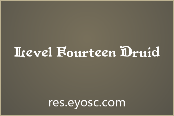 Level Fourteen Druid 评测：网页标题适配指南