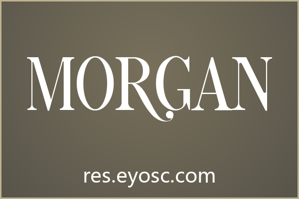 换个口味试试 Morgan，这款衬线体挺特别