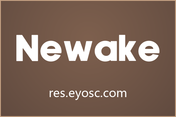 Newake，圆润复古的无衬线