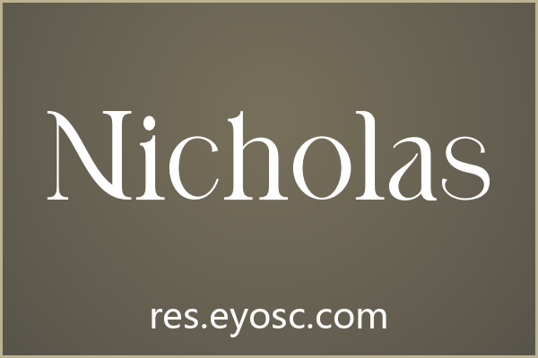 品牌VI的视觉锚点：「Nicholas」作为设计语言的表达