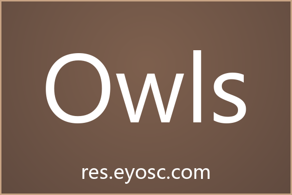 「Owls」：用几何语言重构网页标题的视觉秩序