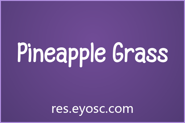 Pineapple Grass评测｜咖啡餐饮字体实力解析