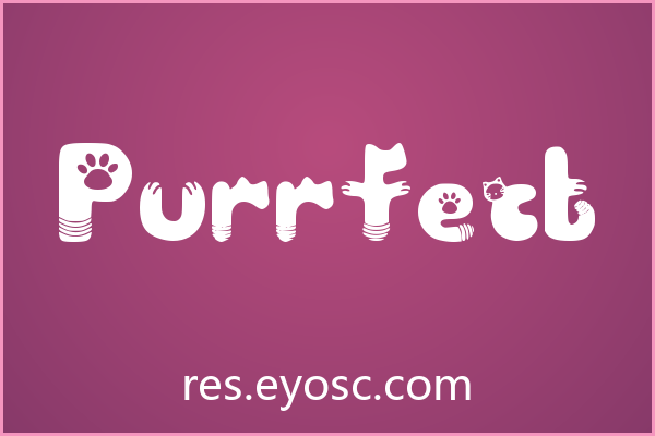 Purrfect 评测：社媒吸睛利器，实力如何？