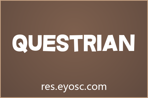 「Questrian」：用几何张力重塑电商视觉的卡通字体
