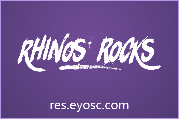 Rhinos rocks 评测 | 品牌VI中的狂野实力与适用边界