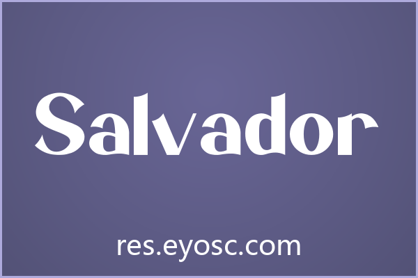 设计师品牌VI清单 | Salvador 值得收录吗