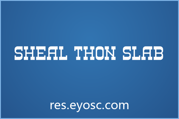 「Sheal Thon Slab」在App界面中不只是字形，更是设计语言