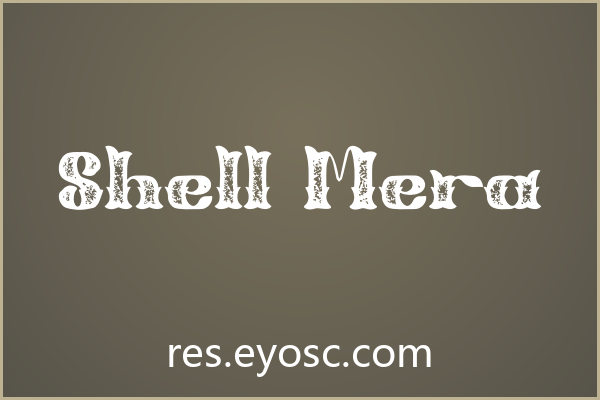 Shell Mera 评测 | 游戏UI标题实力与适配项目