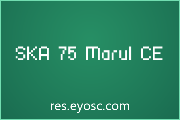 「SKA 75 Marul CE」：包装印刷里的像素设计语言