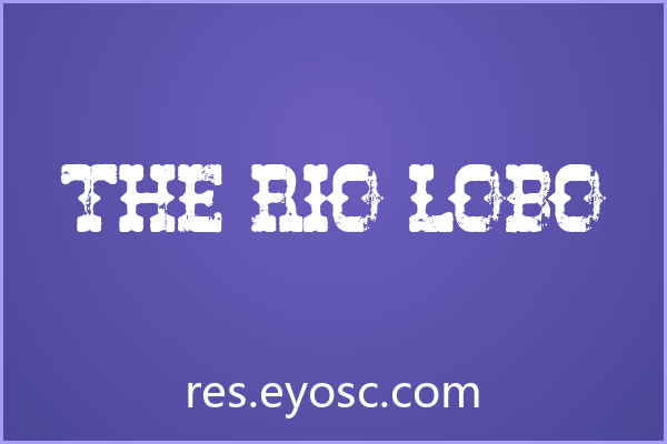 做网页标题看腻了？聊聊「The Rio Lobo」的粗犷细节