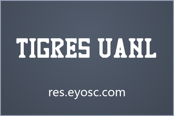 粗犷衬线中的复古秩序感 Tigres UANL