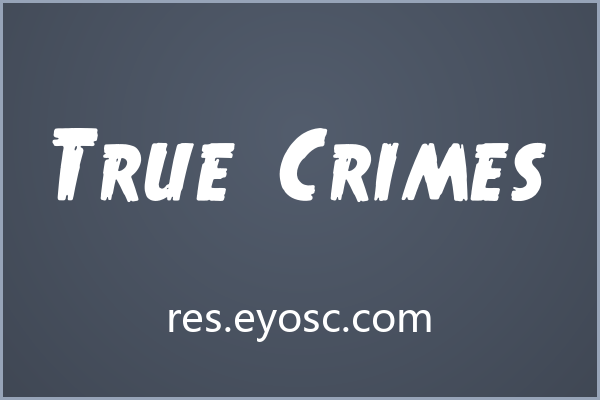 True Crimes，暗黑系标题的直给式选择